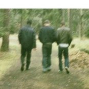 Terranova - List pictures