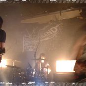 Year Of The Rabbit - List pictures