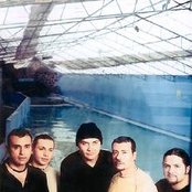 Elefante - List pictures