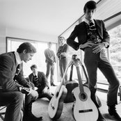 The Sonics - List pictures