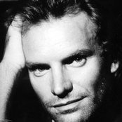 Sting - List pictures