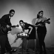 Kitty, Daisy And Lewis - List pictures