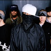 Hed Pe - List pictures