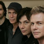 Mr. Big - List pictures