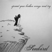 Seabird - List pictures