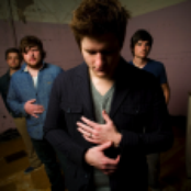 Seabird - List pictures