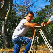 Gypsy And The Cat - List pictures