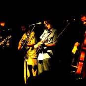 Yonder Mountain String Band - List pictures