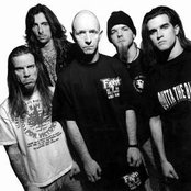 Fight - List pictures