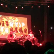 Pusswhip Banggang - List pictures