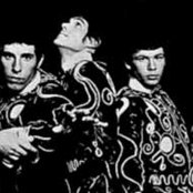 Blues Magoos - List pictures