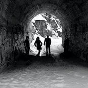 The Lions - List pictures