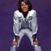 Andy Gibb - List pictures
