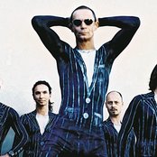 Brings - List pictures