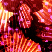 Loop - List pictures