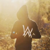 Alan Walker - List pictures