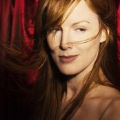 Bird York - List pictures