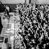 Eruca Sativa - List pictures