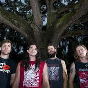 Baroness - List pictures