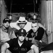 Puya - List pictures