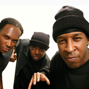 X-ecutioners - List pictures