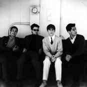 Kara's Flowers - List pictures