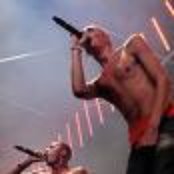 The Opposites - List pictures