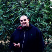 Berner - List pictures