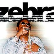 Zebra - List pictures