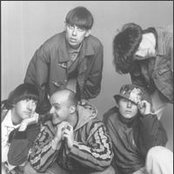 Inspiral Carpets - List pictures