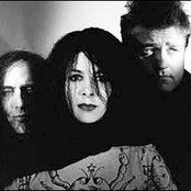 Concrete Blonde - List pictures