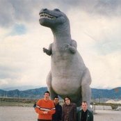 Texas Is The Reason - List pictures