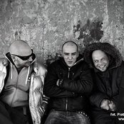 Lipa - List pictures