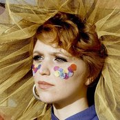 Tangerine Kitty - List pictures