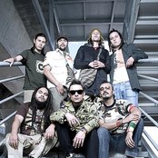 Doctor Krapula - List pictures