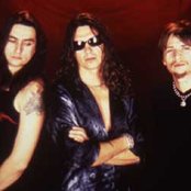 Jaguares - List pictures