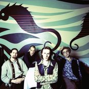 Don Huonot - List pictures