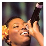 Lira - List pictures