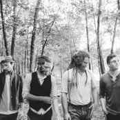 Fever Fever - List pictures