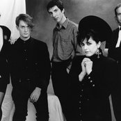 Tribe - List pictures