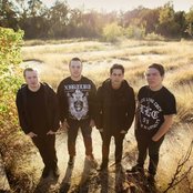 Feign - List pictures