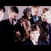 The Animals - List pictures