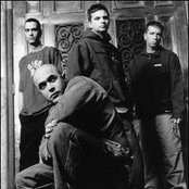 Stanid - List pictures