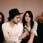 The Veils - List pictures