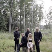 Husky Rescue - List pictures