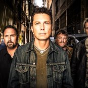 Oleander - List pictures