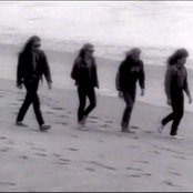 White Lion - List pictures