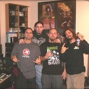 Disgorge - List pictures