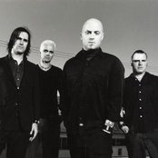 Stavesacre - List pictures