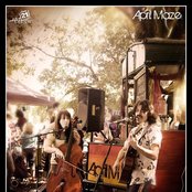 The April Maze - List pictures